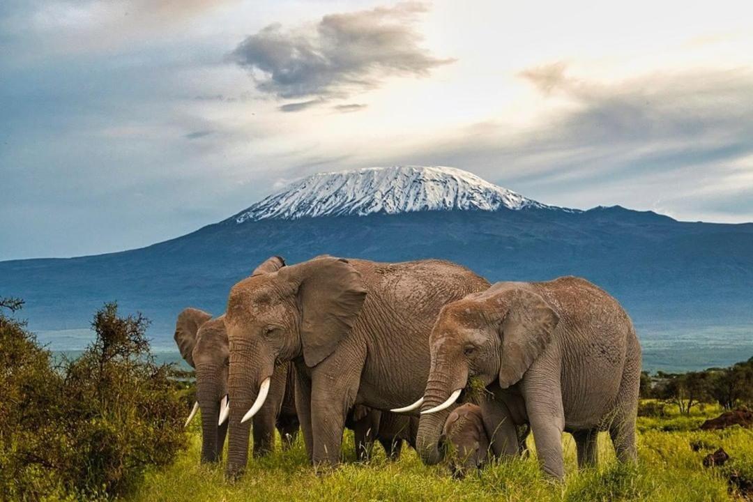 Amboseli Cultural Camping Esterno foto