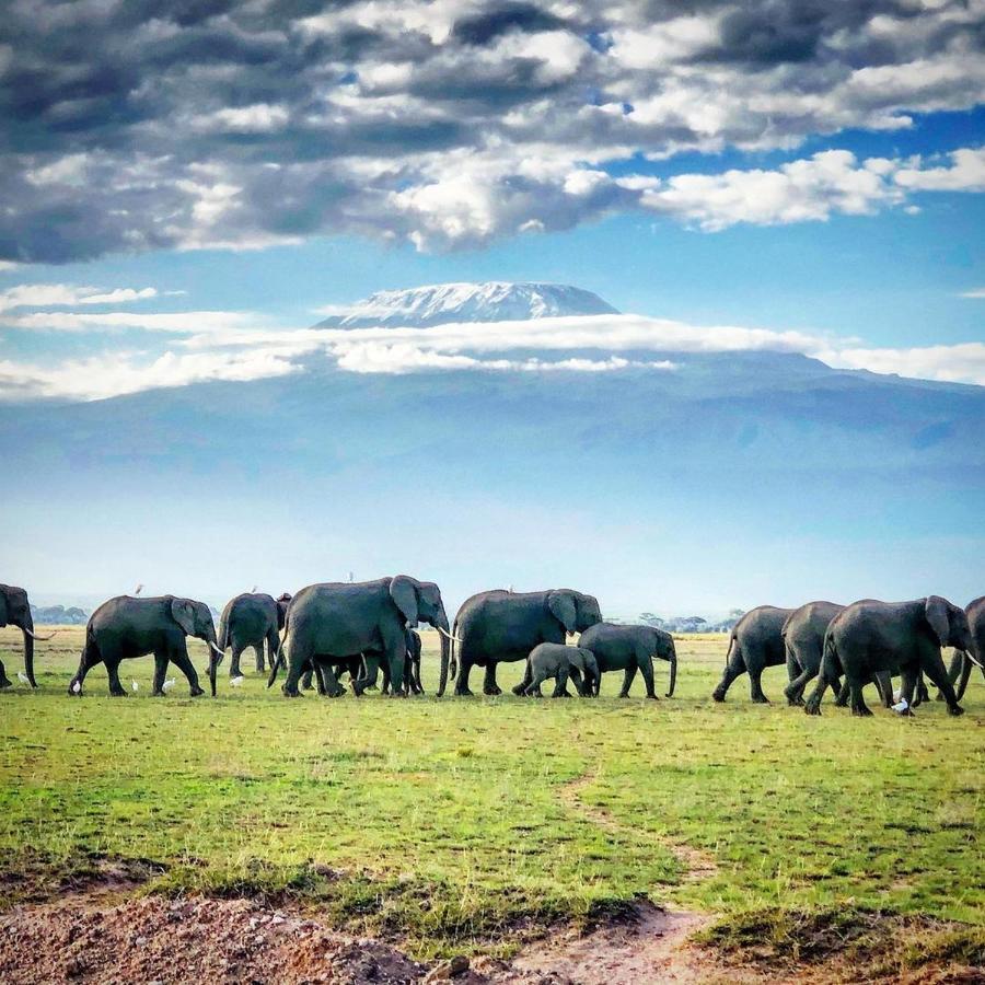 Amboseli Cultural Camping Esterno foto