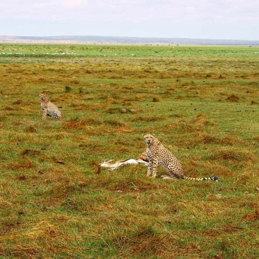 Amboseli Cultural Camping Esterno foto